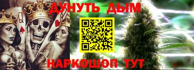 mdpv Владикавказ