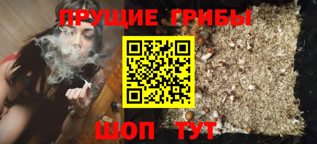 Галлюциногенные грибы мухоморы Губаха